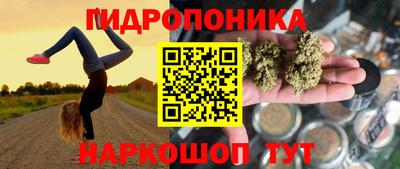 тгк Свободный