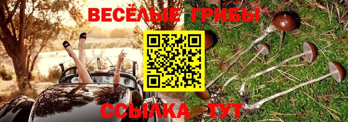 Псилоцибиновые грибы GOLDEN TEACHER Реутов